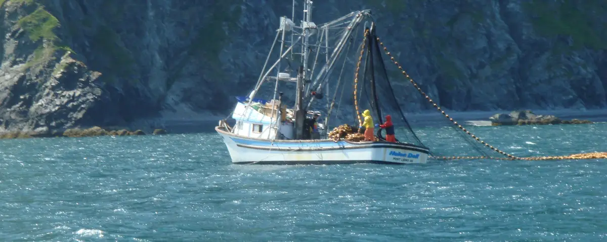 Alaska Fishing Jobs: Deckhand, Cannery, Lodge. What’s Real