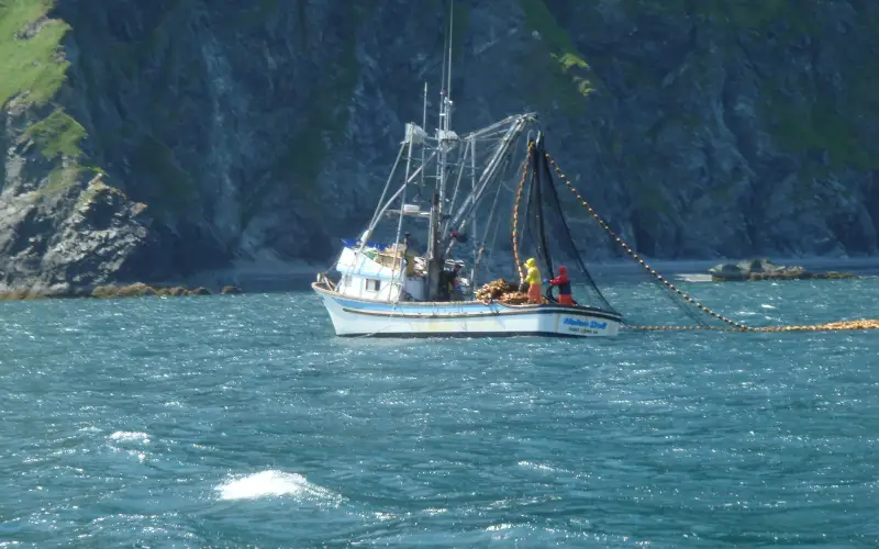 Seiner off the coast of the Kodiak Archipelago, Alaska