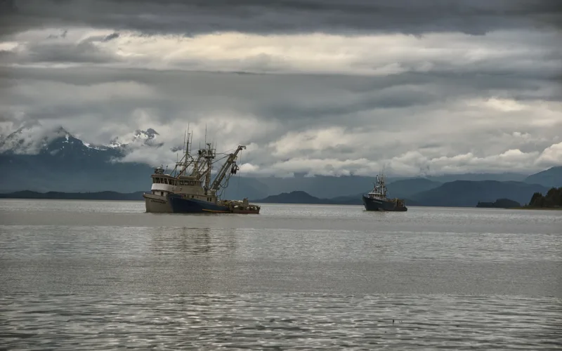 Commercial salmon boats waiting for the salmon run off Amalga Salt Chuck near Juneau, Alaska, under low clouds and snow-streaked mountains