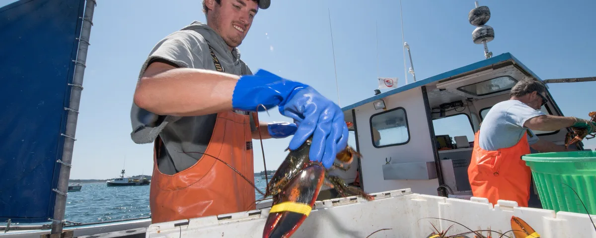 Commercial Fishing Jobs in the US: Fisheries, Boats, Pay, Licenses and Safety