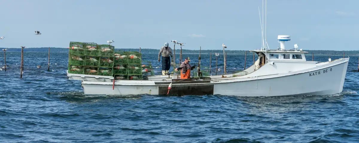 Deckhand Jobs: TWIC Cards, Crew Shares vs Day Rates, and Who Hires Green