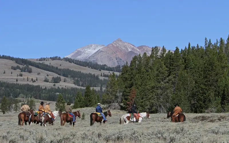 Trail ride