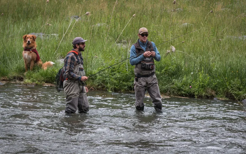 Two fly anglers in waders stand in the Crooked Wild and Scenic River in central Oregon, one tying on a fly while the other holds a rod, with a dog watching from the bank