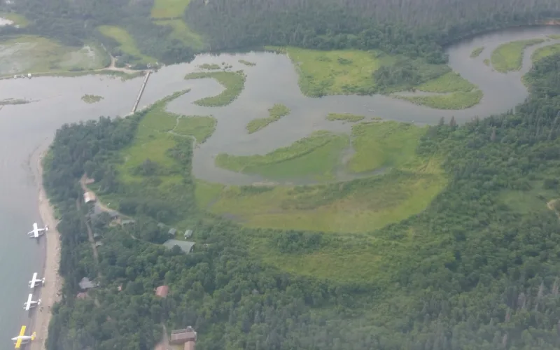 Aerial view of Brooks Camp in Katmai, Alaska: floatplanes lined up on the lake beach, lodge cabins in the spruce and the Brooks River winding to the lake.