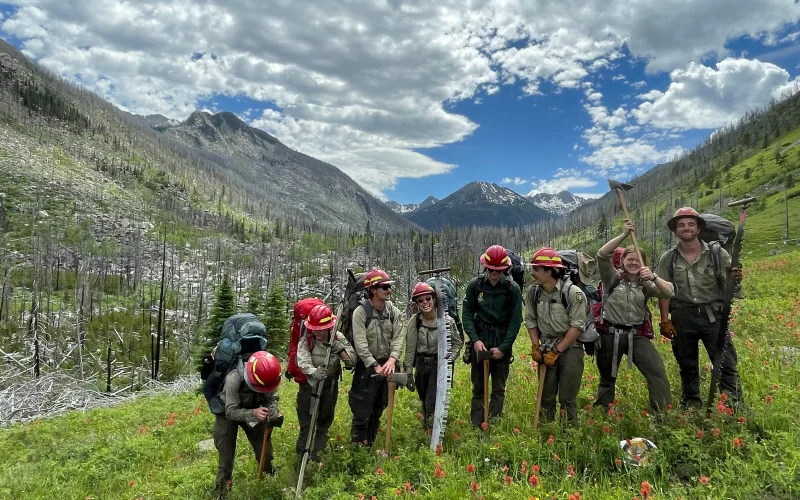 A Forest Service trail crew in hard hats and uniforms carries a crosscut saw, pulaskis and packs through a wildflower meadow below burned slopes and snowy mountain peaks