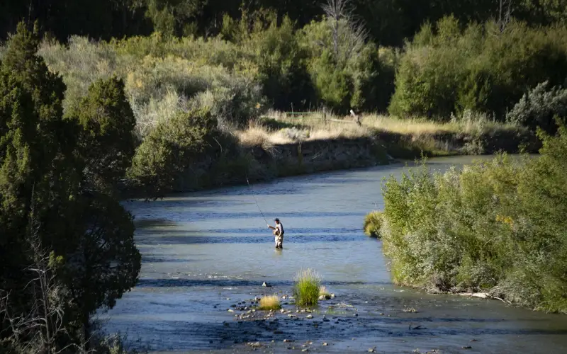 River running through ranch country