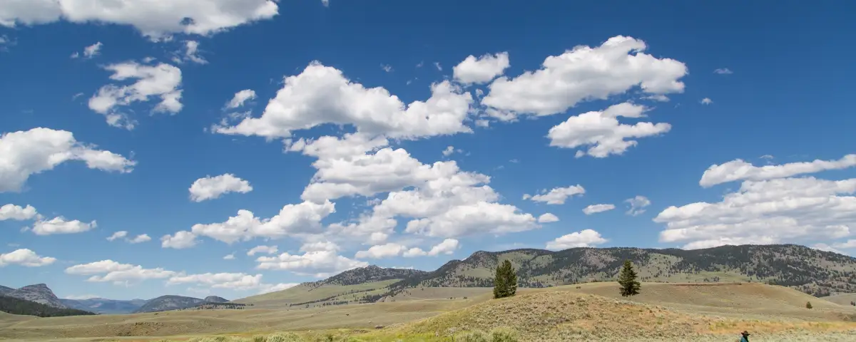 How to Become a Wrangler: Dude Ranch and Trail Ride Horse Jobs