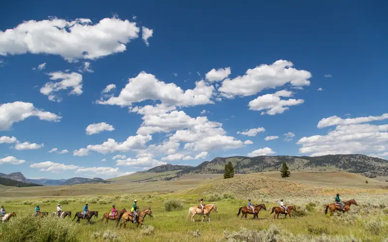 A line of riders on a guided horseback ride crosses sagebrush meadows near Roosevelt Lodge in Yellowstone National Park