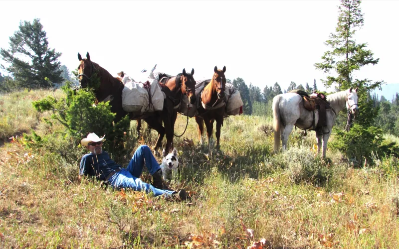 A man in a cowboy hat rests in the grass with a dog beside three loaded pack horses and a saddled gray horse on the Upper Hoback Trail, Bridger-Teton National Forest.