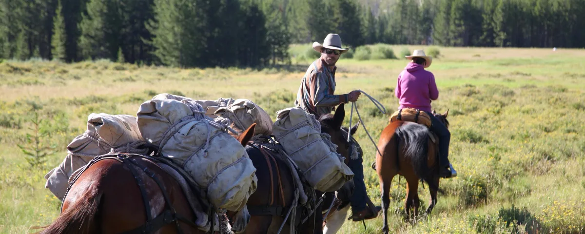 How to Hire Hunting Guides, Packers and Camp Cooks: Licensing, Pay and Timing