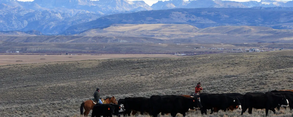 How to Hire a Ranch Hand or Ranch Manager: Pay, Housing, Overtime and H-2A