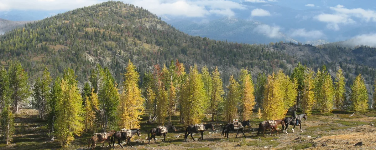 What to Pack for a Hunting Camp Job: Guide, Packer and Camp Cook Gear Lists (2026)