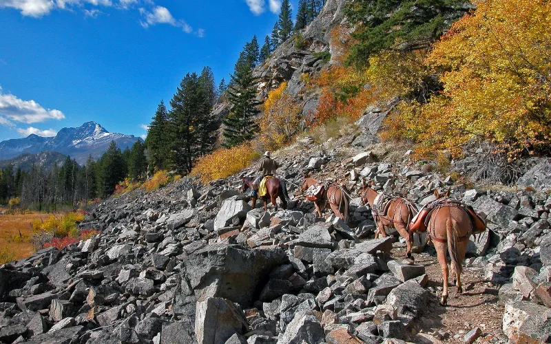 Hunting & Outfitting jobs