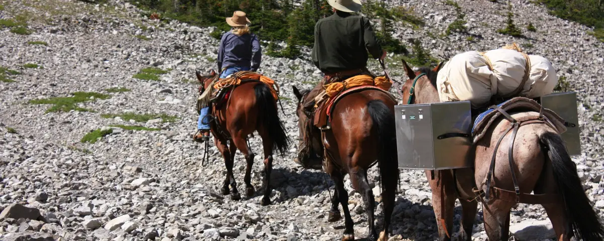 Hunting Guide Jobs: What Outfitters Actually Look For