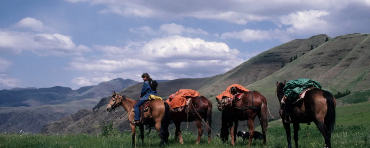 Hunting Guide and Outfitter License Requirements by State (2026)