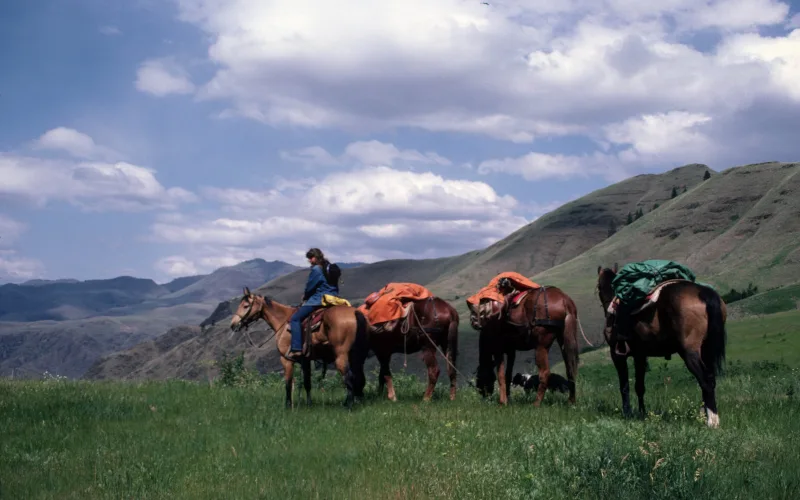 A rider leads a string of pack horses across green grass below the ridges of the Hells Canyon Wilderness in northeastern Oregon.