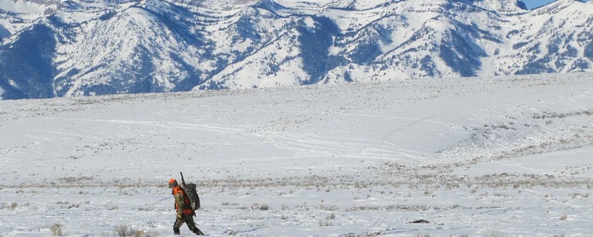 How Much Do Hunting Guides Make? 2026 Day Rates, Tips and Season Pay