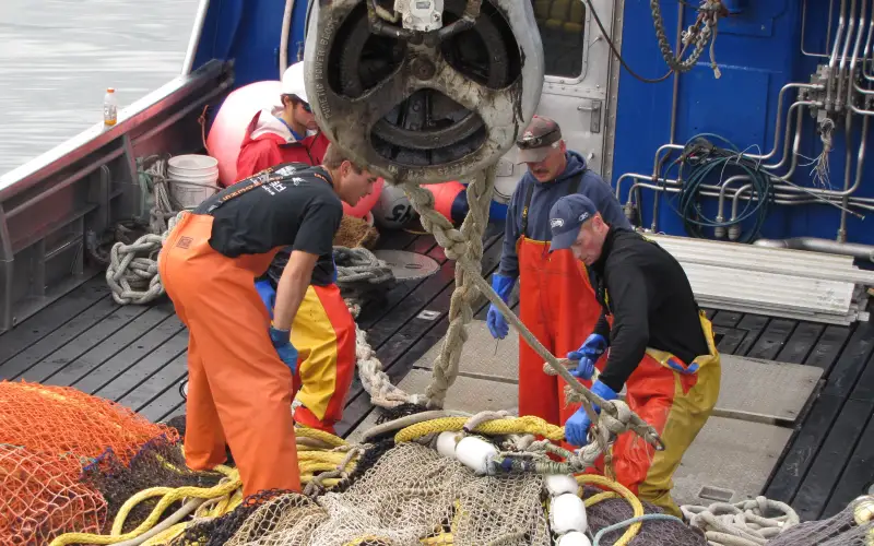 Four fishermen in orange rain gear work a seine net under a power block on the deck of a fishing boat, probably in Petersburg, Alaska