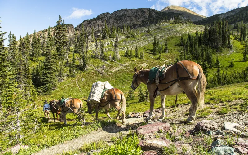 Packing & Backcountry jobs
