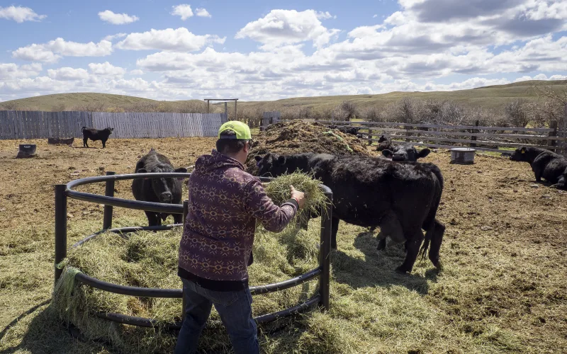 Ranch & Western jobs