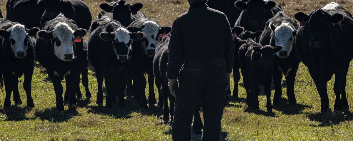 How Much Do Ranch Hands Make? 2026 Pay, Housing and Benefits