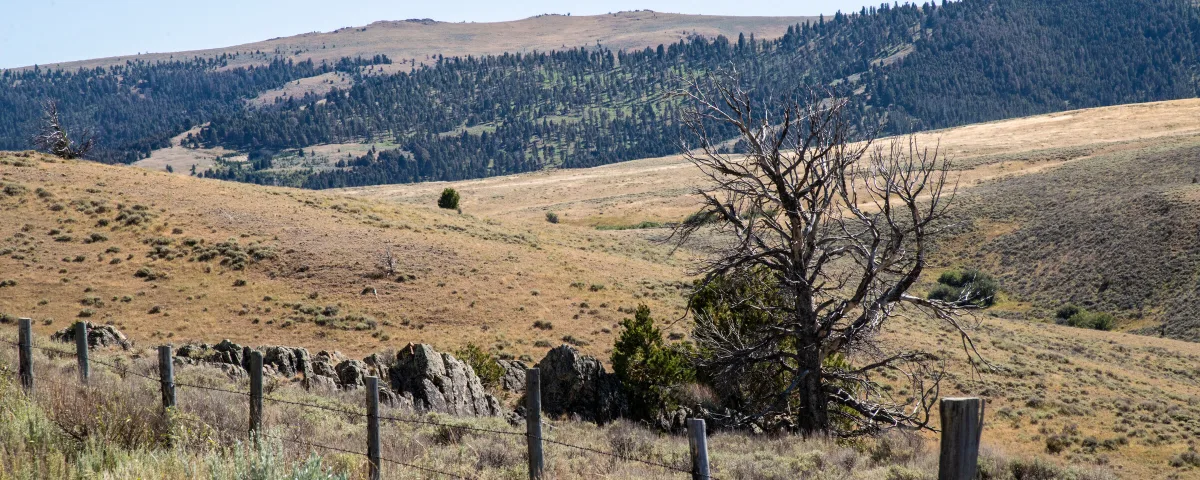 Ranch Jobs by State: Where the Work Is in Montana, Texas, Wyoming and the West