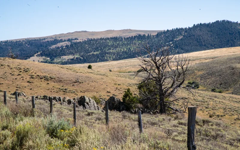 A barbed-wire fence crosses sagebrush rangeland below timbered hills on a cattle ranch in the Sweetwater Basin of southwest Montana