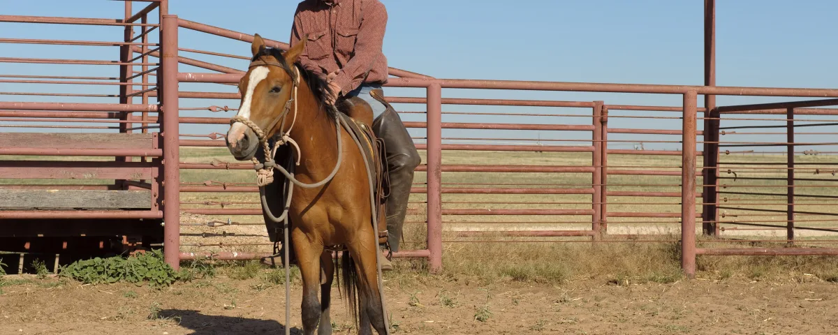 How to Get a Ranch Job With No Experience (and Housing Included)