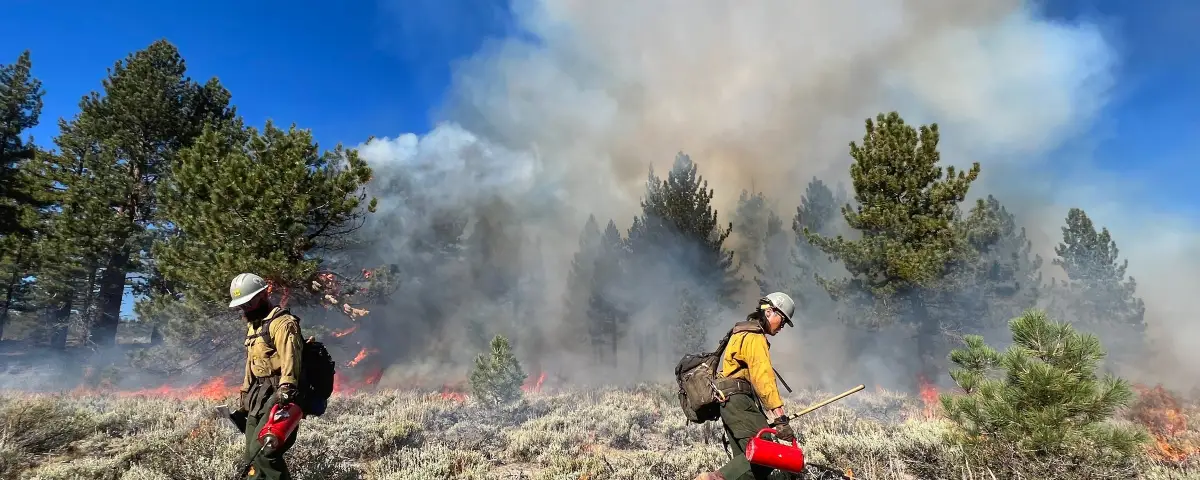 Wildland Firefighter Jobs: Pay, Hiring Windows and How to Get Hired
