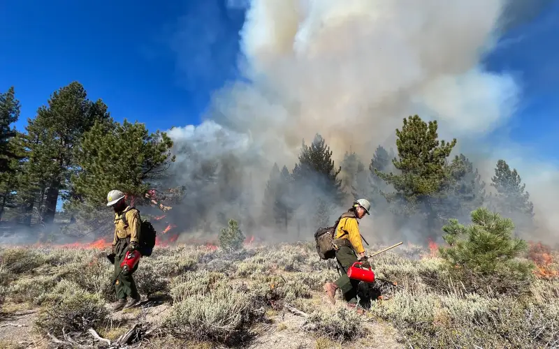 Inyo National Forest 2023 Prescribed Burns