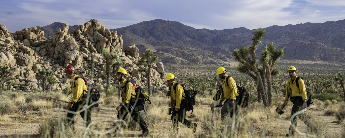 Wildland Firefighter Requirements: Age, Pack Test, Medical and Red Card