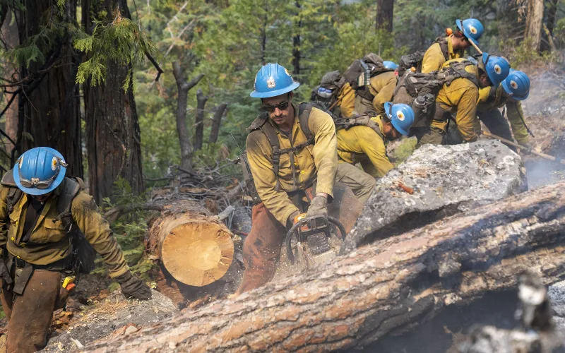A Forest Service hotshot sawyer cuts a burning log on a smoky fireline while crew members in blue helmets work behind him.