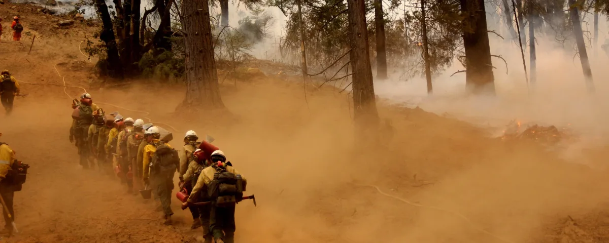 Hotshot vs Engine vs Hand Crew: Which Wildland Fire Job Is Right for You?