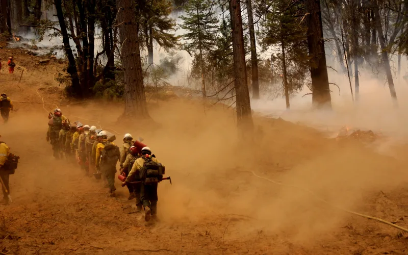 A line of hotshot firefighters in yellow shirts and helmets hikes through dust and smoke along a fireline in a burned pine forest on the Ferguson Fire.
