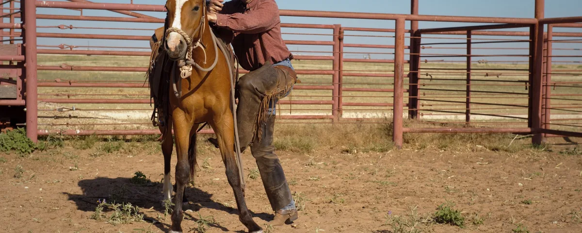 Ranch Hand Resume Examples: Beginner, Experienced and Couples, With What Ranches Want to See