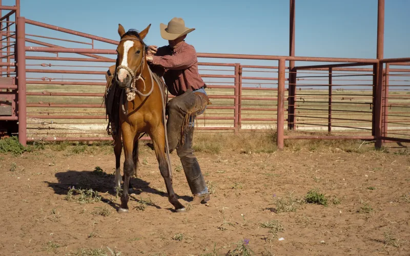 A cowboy in chaps and a felt hat swings into the saddle of a bay horse with a white blaze in a pipe corral on the West Texas plains.