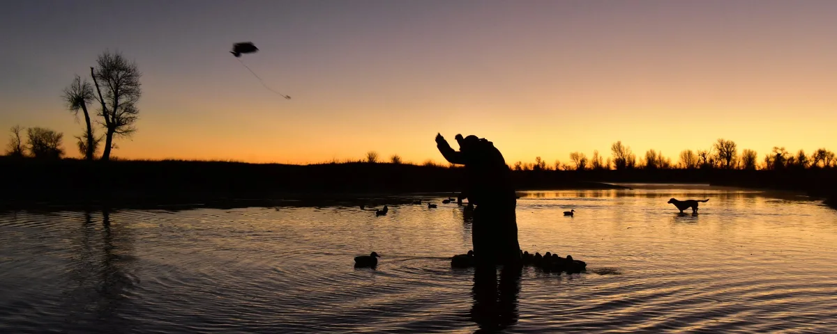 Waterfowl Guide Jobs: Duck and Goose Guiding, Licenses, Dogs and Pay